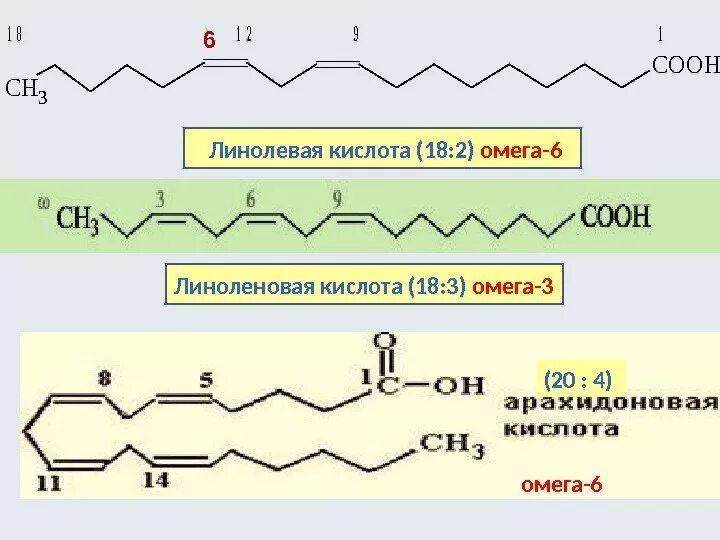 Гамма-линоленовая кислота формула. Олеиновая линолевая линоленовая кислота формула. Линоленовая кислота формула. Линолевая кислота формула. Альфолиподиеева кислота