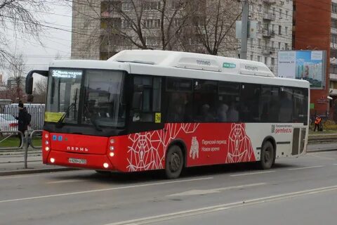 60 автобус пермь