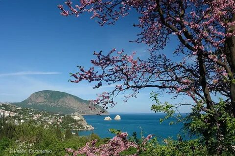 Ялта весной