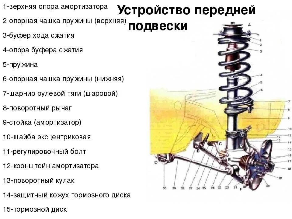 Из чего состоит задний