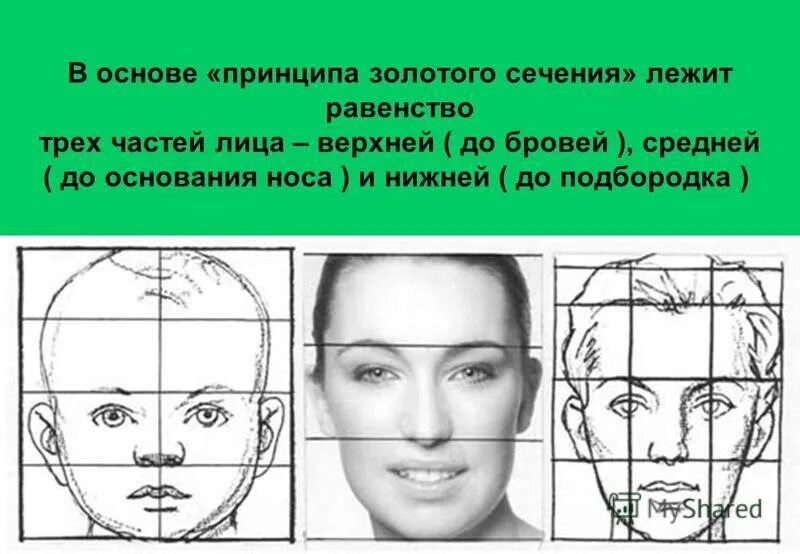Маска маркуорта. Красивые пропорции лица. Идеальные пропорции лица схема. Симметричное лицо. Золотое сечение пропорции лица.