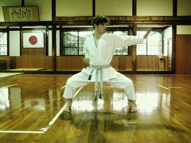Japanese karate