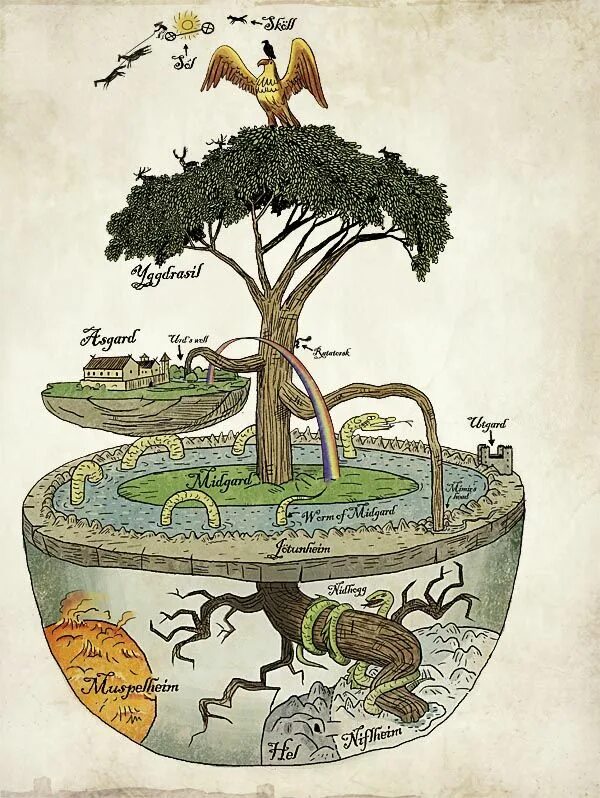 Иггдрасиль мировое Древо и 9 миров. Мировое дерево Иггдрасиль. Скандинавская мифология Древо Иггдрасиль. Ясень Иггдрасиль мировое дерево.