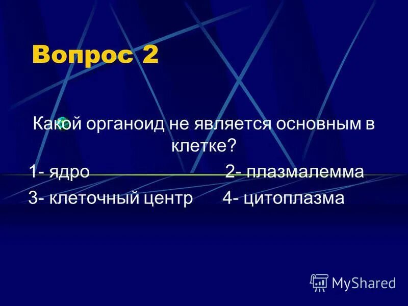 Вопросы про клетку. Вопросы по клетке.