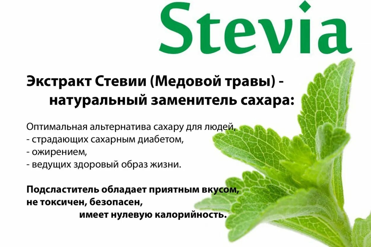 Стевия сахарозаменитель растение. Стевия Stevia improved Compact. Польза стевии. Что такое стевия чем полезна.