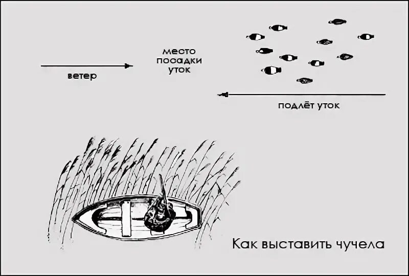 Как разобрать утку правильно Как приготовить утку без духовки! Сногсшибательный вкус! YouTube