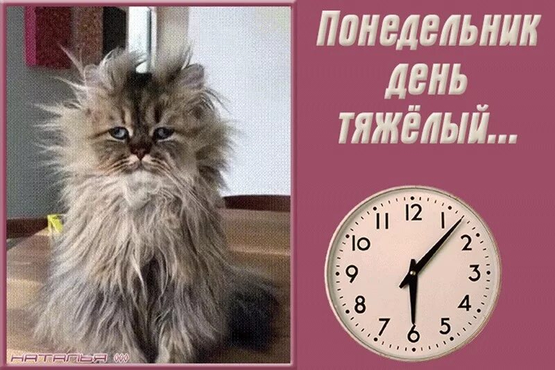 Понедельник день тяжелый. Понедельникдегьтяжелый. ПОНЕДЕЛЬНИКДЕНЬ тяжёлый. Понедельник день чижолый. Стих рабочий день