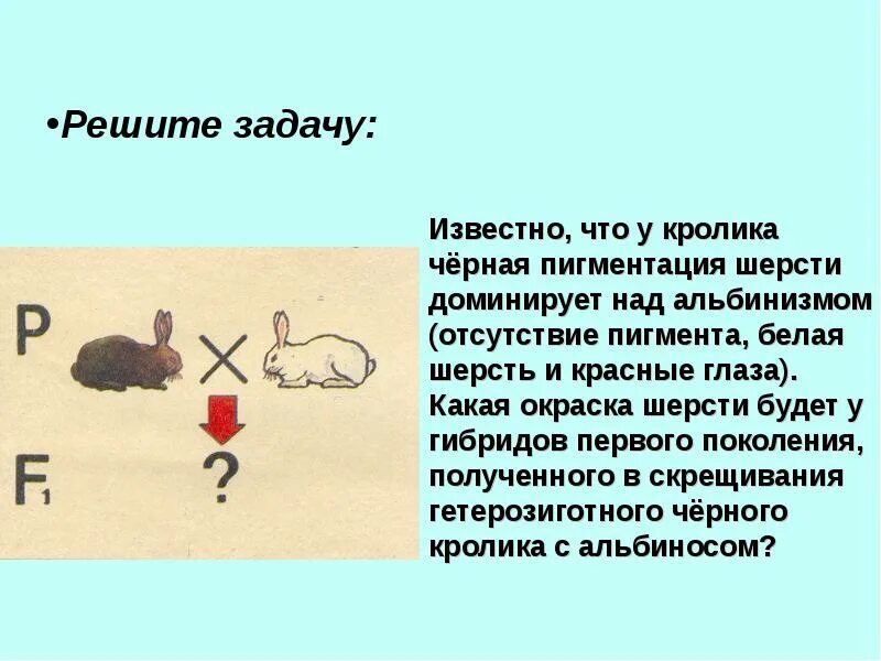 Показать ответ полное доминирование