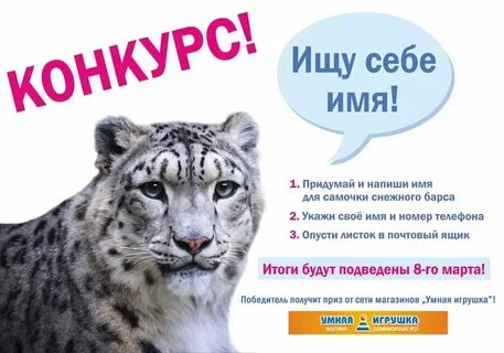 Позвони барс