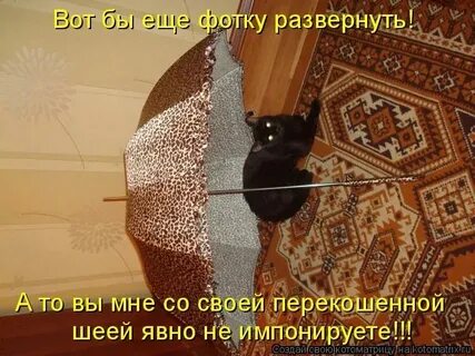 Симпатизировать и импонировать в чем разница