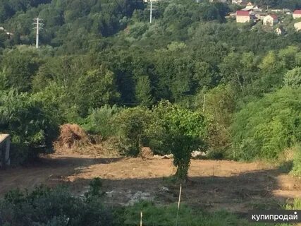 Погода в черешне адлер