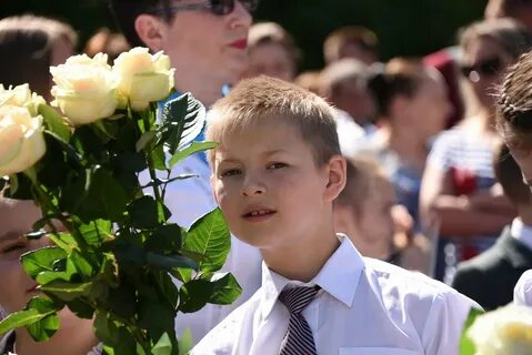 Где 41 школа белгород