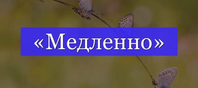 Медленные без слов. Медленно. Слово медленно. Картинка к слову медленно. Медлен на слова картинка.