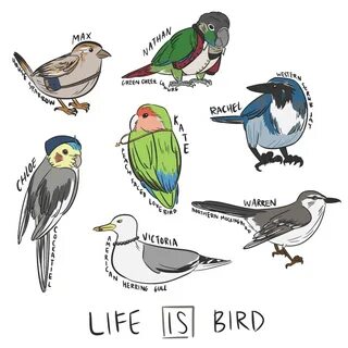 It s a bird