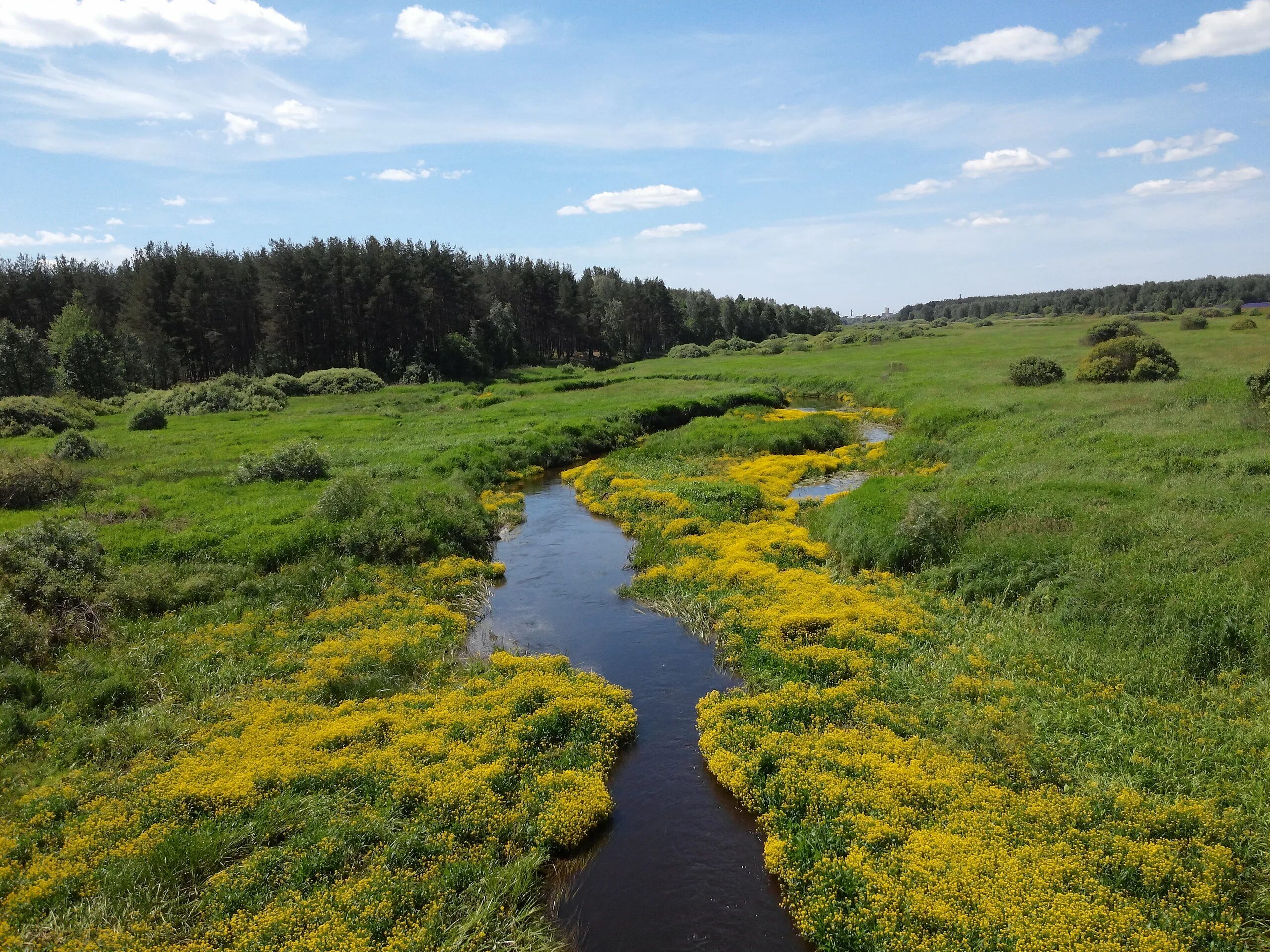 Мещера 4. Мещерская низменность Морошка. Мещерская равнина. Деревня Беливо. Поселок Беливо.