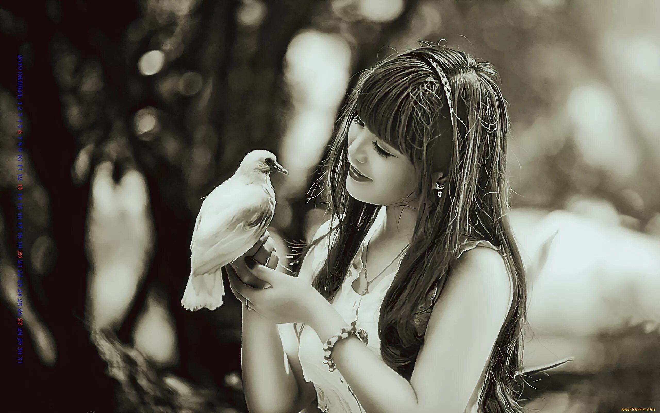 Девушка с птичкой. Девушка с голубем. Девочка с птицей. Девушка с птичкой в руках.