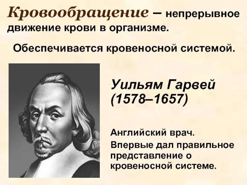 Гарвей кровообращение. Уильям Гарвей. Уильям Гарвей вклад в биологию. Уильям Гарвей создатель теории кровообращения. Непрерывное движение крови по организму