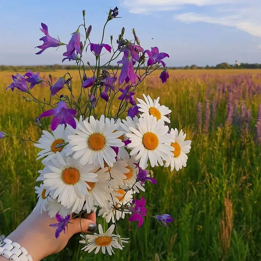 Какое сегодня будет лето