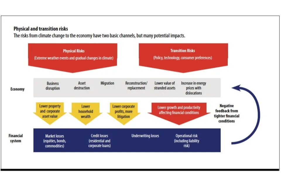 Change negative. A climate of risk. transition economies. climate change risks physical. climate change effects on economics.