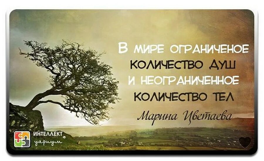 Любом и неограниченном количестве и. Мудрые высказывания о весне. В мире неограниченное количество тел.