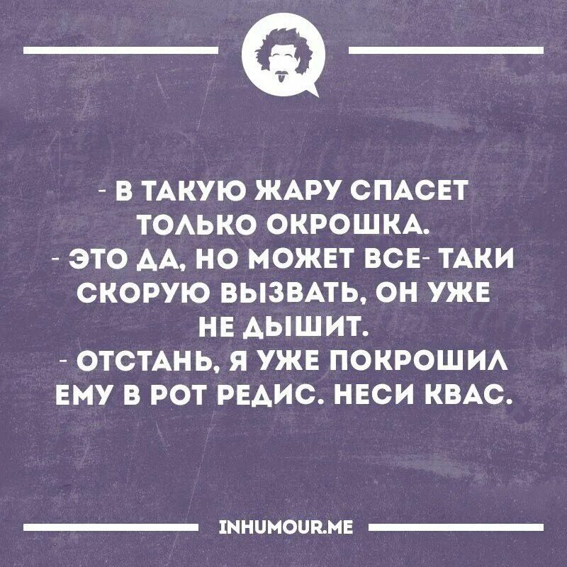 В такую то жару. В такую жару. анекдот про окрошку. шутки про окрошку. окрошка юмор.