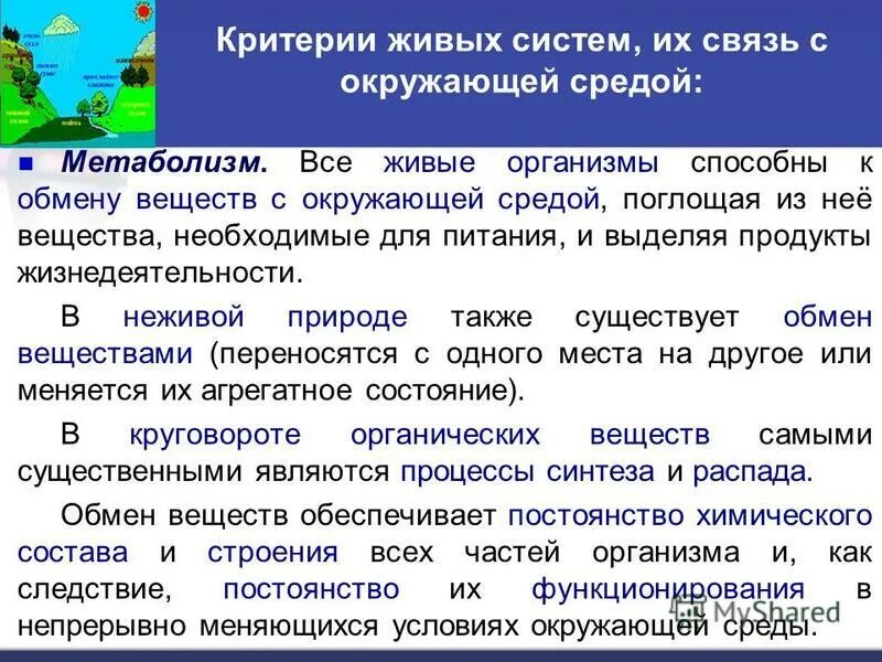 живые организмы способны к обмену веществ. вещества выделяемые организмами в окружающую среду. все живые организмы способны к обмену веществ. живые организмы способны к обмену веществ. обмен веществ у растений.