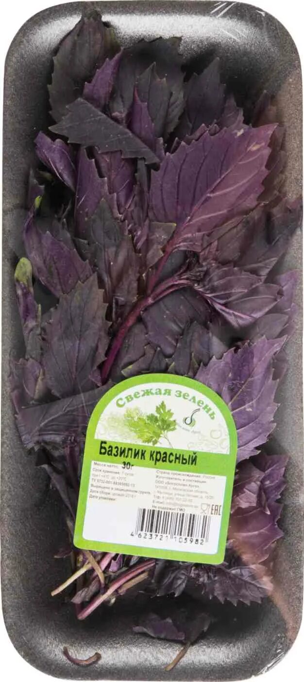 Базилик пятерочка. Базилик свежий в пятерочке. Ширин шафиева сны ocimum basilicum. Базилик пятерочка. Соус песто пятерочка.