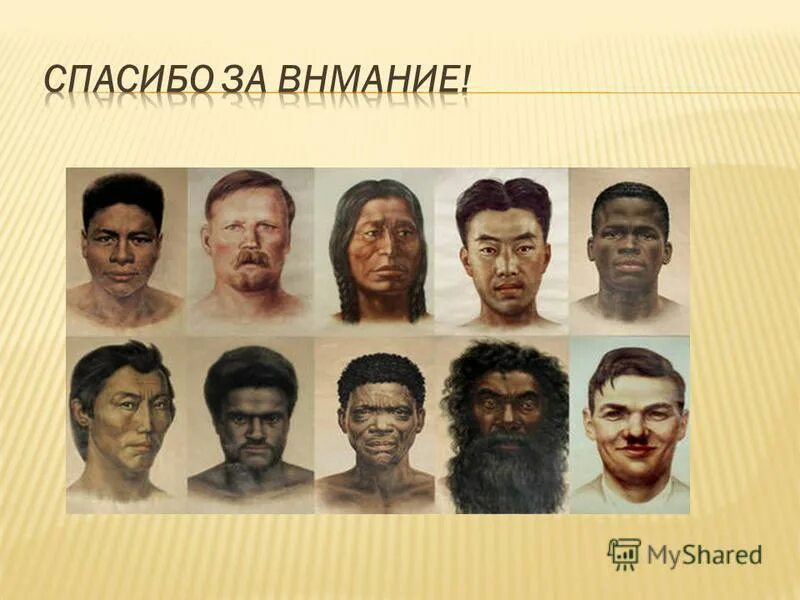 основные расы человечества. раса. человеческие расы. расы людей. расы 4 класс.