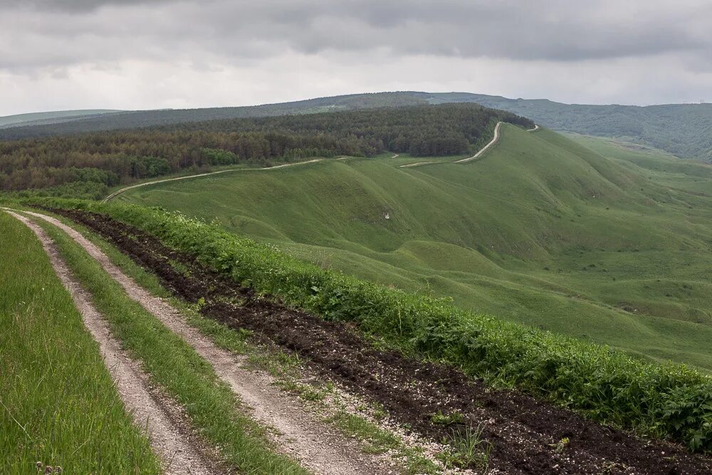 ставропольский край предгорный район село юца школа 11. хроника юцы. гора верхний джинал кисловодск. волчья поляна кисловодск. хроника юцы.