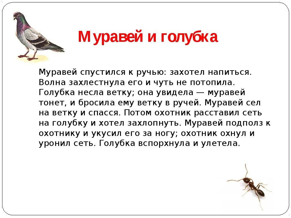 Басни Льва Николаевича Толстого короткие. Басни Льва Николаевича Толстого 3 класс. Лев толстой басни для детей 2 класс. Басни Льва Николаевича Толстого 4 класс короткие. Толстой текст муравей