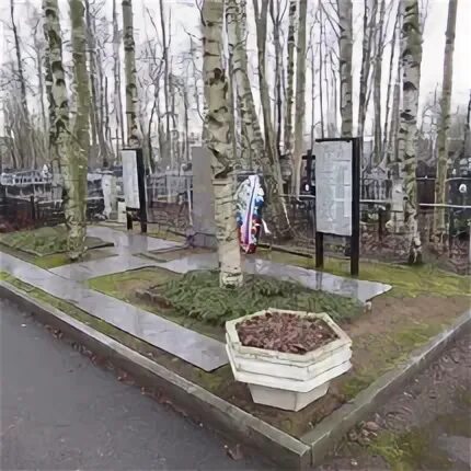 Жеребятьевское кладбище памятники. Еврейское кладбище малаховка. Жеребятьевское кладбище. Жеребятьевское кладбище памятники. Жеребятьевское кладбище.