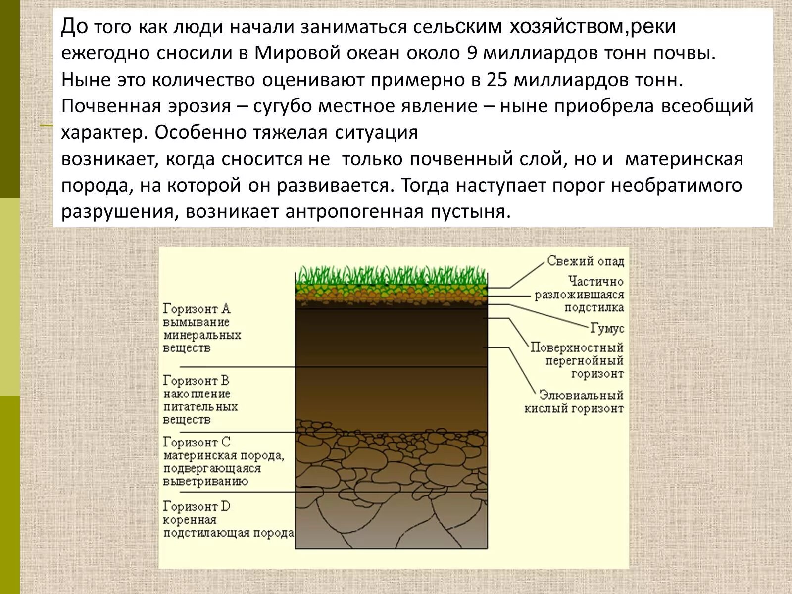 К материнской породе примыкает почвенный горизонт. Почвенный Горизонт материнская порода. Материнская порода. Слой почвы на материнской породе. Материнский слой почвы.