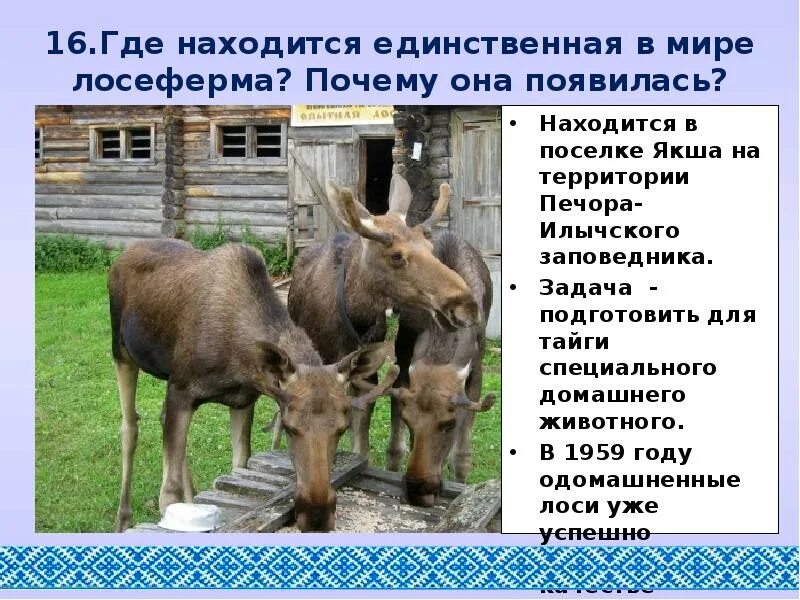 Где находится единственная