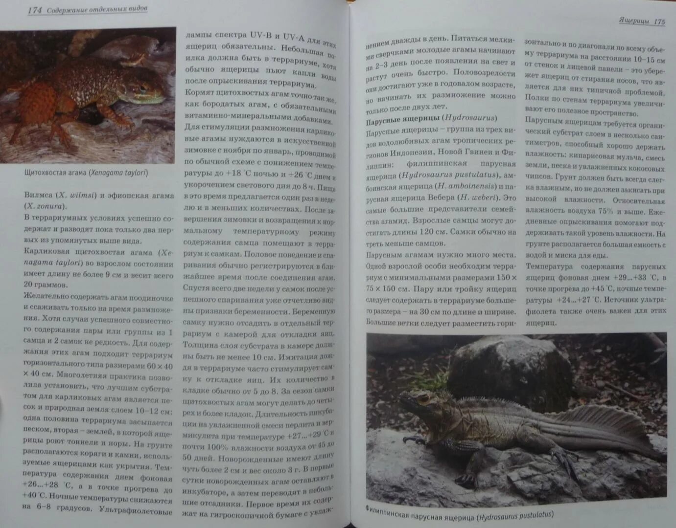 Руденко рептилии книга. Террариум вчера сегодня завтра. Террариум вчера сегодня завтра. Террариум книга. Террариум и его обитатели книга.