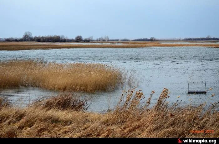 Погода в вылково алтайского края. Озеро Вылково. Озеро Вылково Рубцовский. Озеро Ракиты Рубцовский район. Вылково Алтайский край.