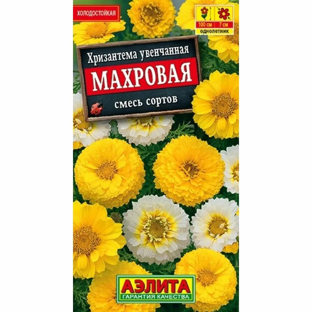 Хризантема махровая смесь. Хризантема махровая смесь. Хризантема махровая смесь. Хризантема увенчанная махровая голден. Хризантема увенчанная махровая голден.