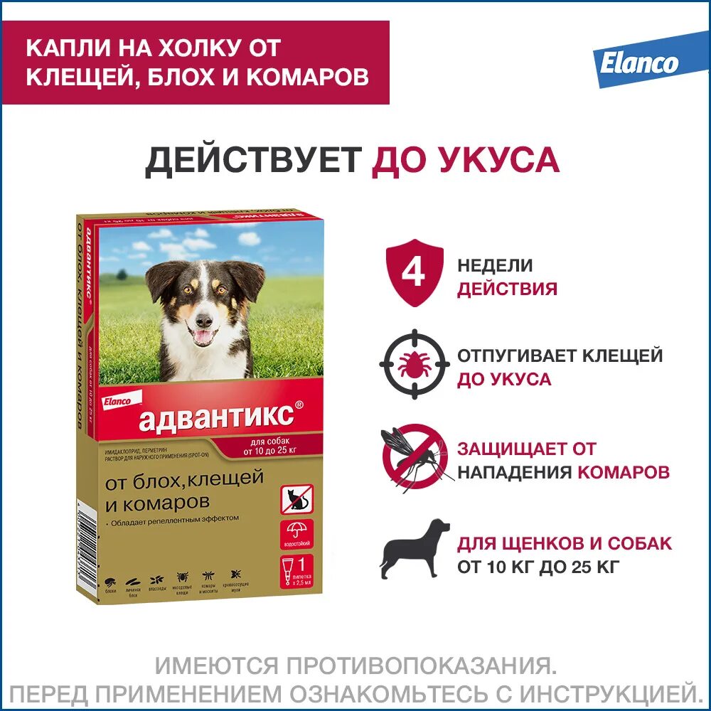 Есть вакцина от клещей для собак. Вакцинация против пироплазмоза. Прививка против пироплазмоза у собак. Прививка от бешенства собаке нобивак. Укол от подкожного клеща для собак.
