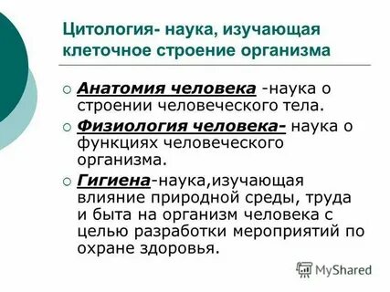 Типы строения органа