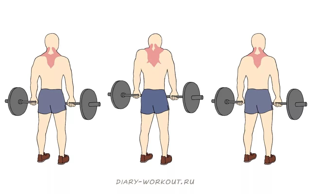 Упражнения на трапециевидную. Шраги со штангой стоя техника. Шраги со штангой и с гантелями. Шраги на трапецию со штангой.