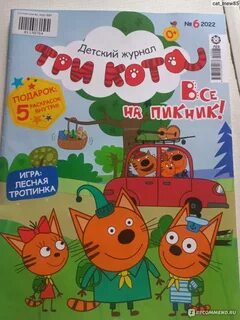 Три кота 2023