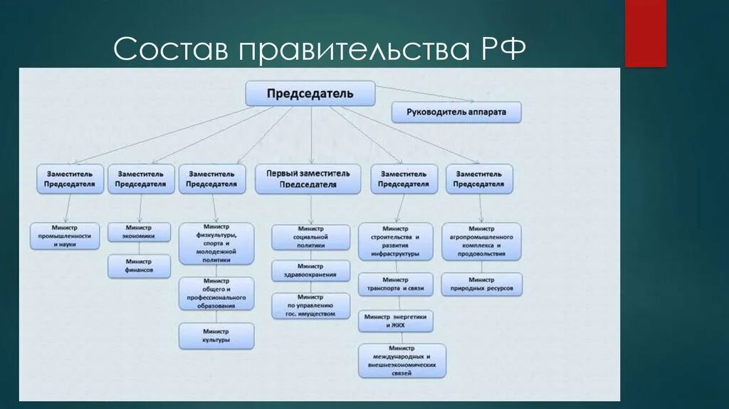 Заместитель директора государственного учреждения