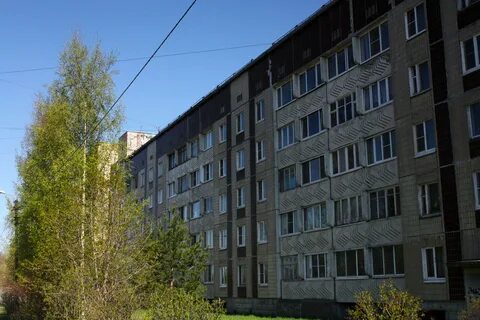 Почта гатчина зверевой