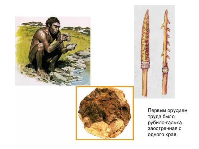 Последовательность использования предками человека орудий. Древние орудия труда. Орудия труда человека. Древние орудия труда первобытного человека. Первые орудия труда.