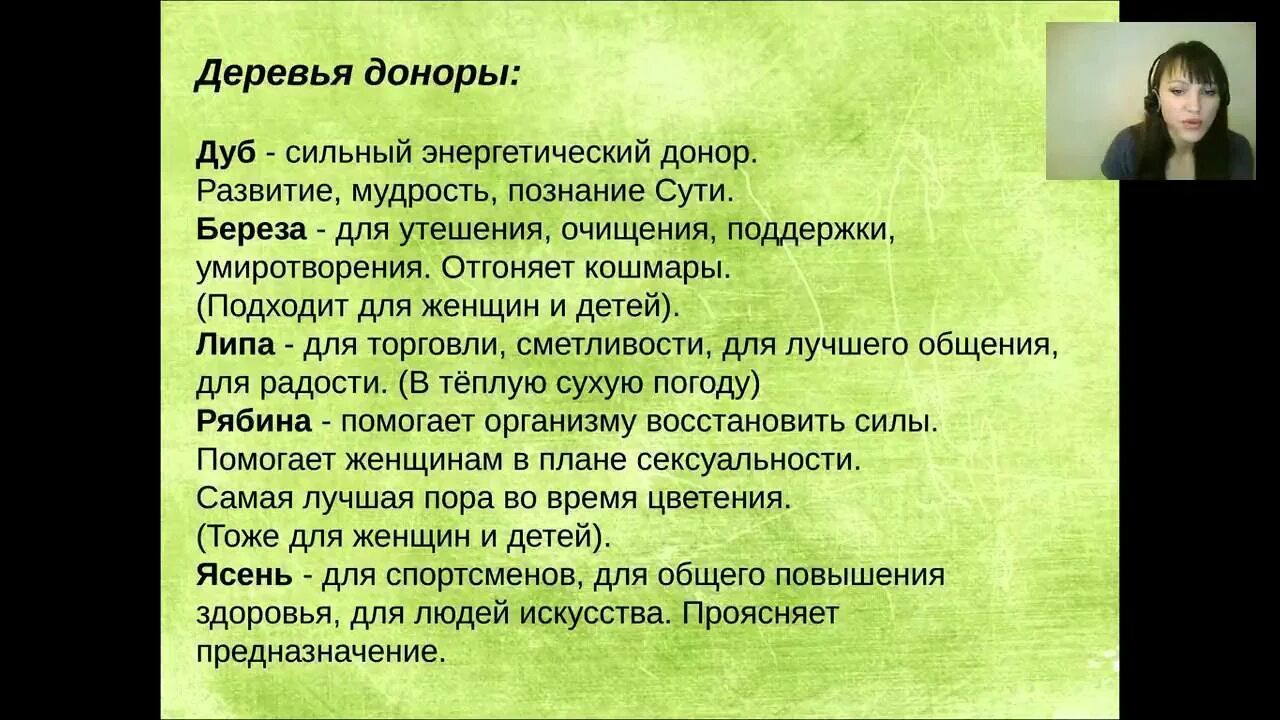 Деревья доноры и деревья вампиры. Деревья вампиры и доноры энергетические. Деревья вампиры и доноры по знакам зодиака. Деревья доноры и вампиры по дате рождения.