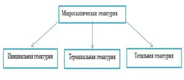 Симптомы гематурии является