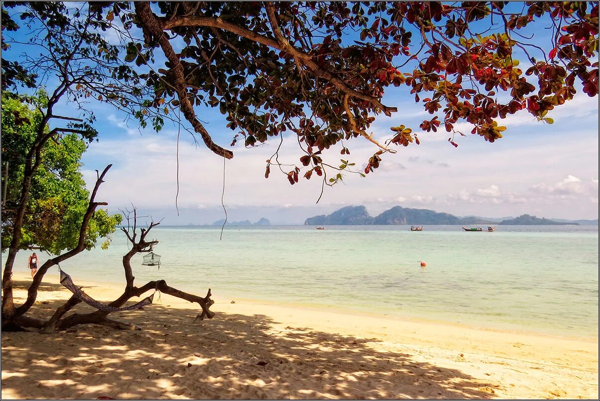 Краби самуи. Остров Крадан Таиланд. Пляж Крадан. Ко Крадан лучший пляж. Самуи в январе.