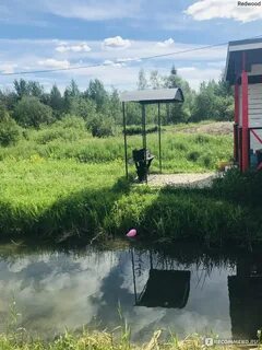 Рыбные пруды ропша