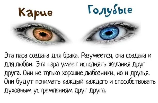 Напиши какого цвета глаза у твоих близких. Голубые глаза характеристика. Факты о голубых глазах. Карий цвет глаз значение. Характер людей с синими глазами.