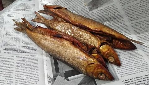 Копчение омуля