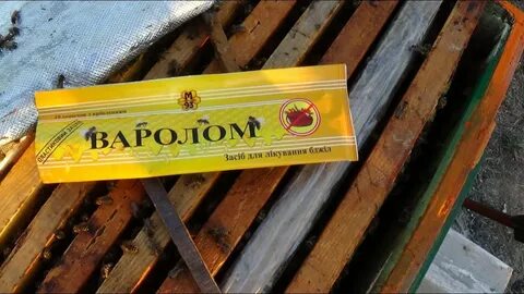 Лечение пчел весной